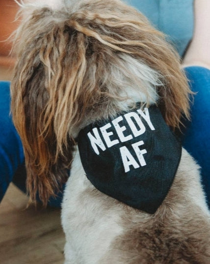 Needy AF Dog Bandana