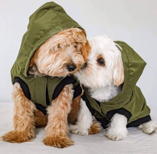 Dog Rain Jacket Windbreaker & Jogger - Hunter Green