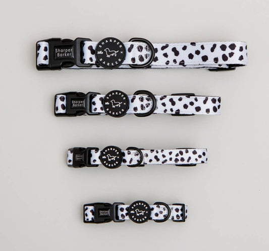 Dalmation Collar Padded-Quick Release